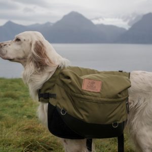 PawPack Dog – big